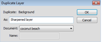 
 Duplicating the layer